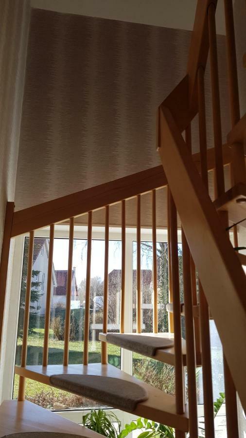 Ferienhaus Bogsi Müllrose Esterno foto