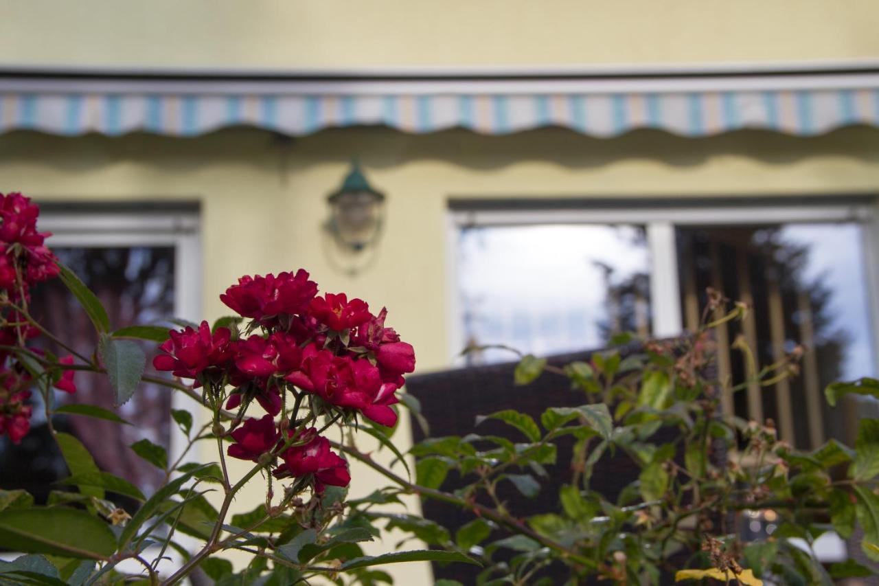 Ferienhaus Bogsi Müllrose Esterno foto