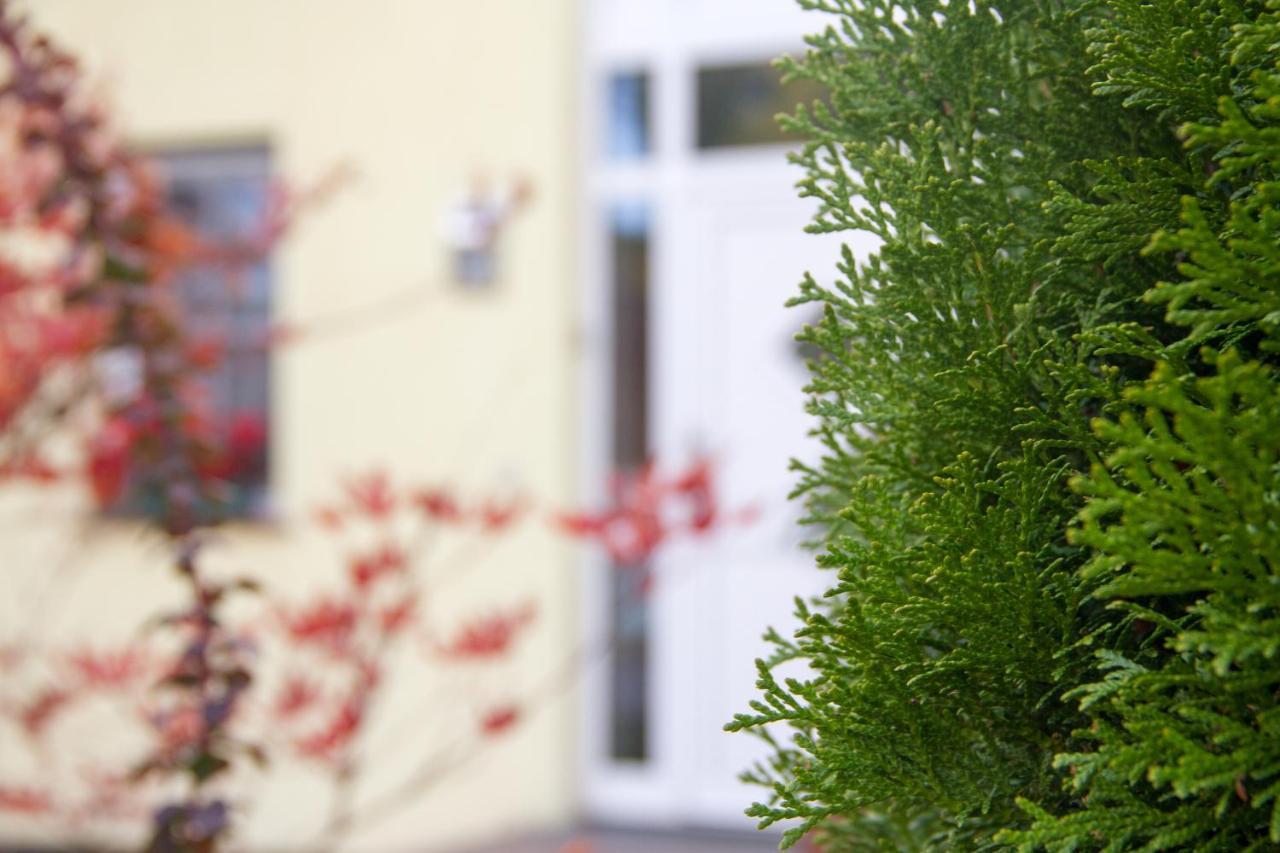 Ferienhaus Bogsi Müllrose Esterno foto